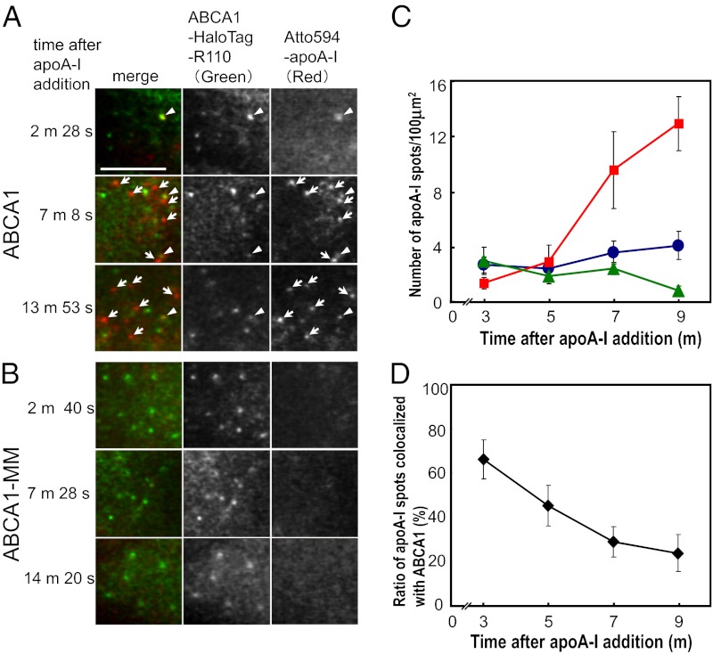 Fig. 4.