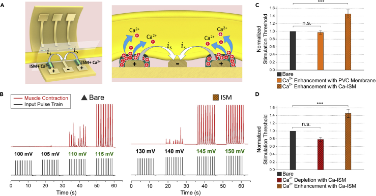 Figure 5