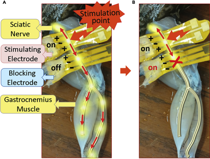 Figure 3