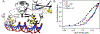 Figure 6: