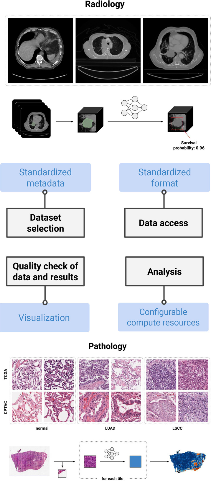 Highlights of IDC features and their contribution to the development of reproducible pipelines. To date, two reproducible analysis studies have been conducted by the IDC team: automated prognosis of lung cancer mortality based on standard-of-care CT (40) and automated classification of lung cancer histopathologic images (39). Both are accompanied by notebooks allowing for reproduction if the study is using the cloud-provisioned compute resources and data available at IDC. LSCC = lung squamous cell carcinoma, LUAD = lung adenocarcinoma.