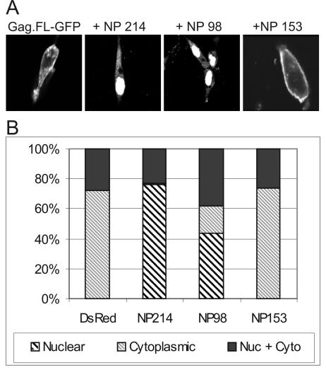 FIG. 7.