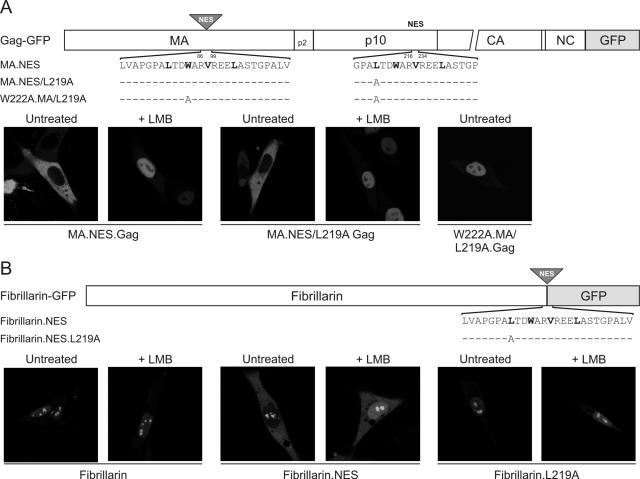 FIG. 6.