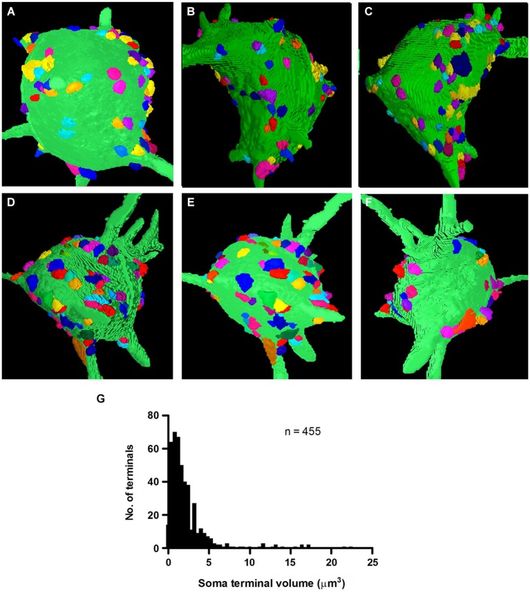 Figure 5