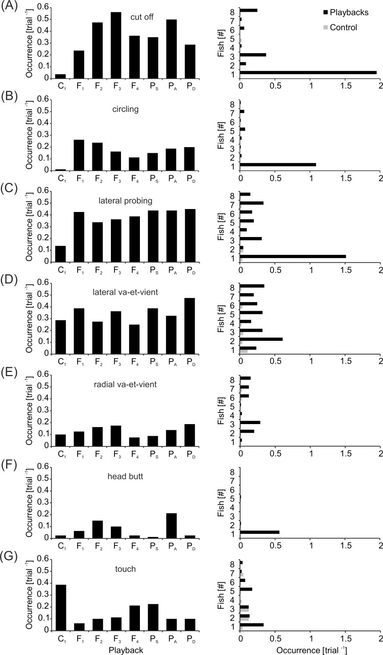 Fig 12