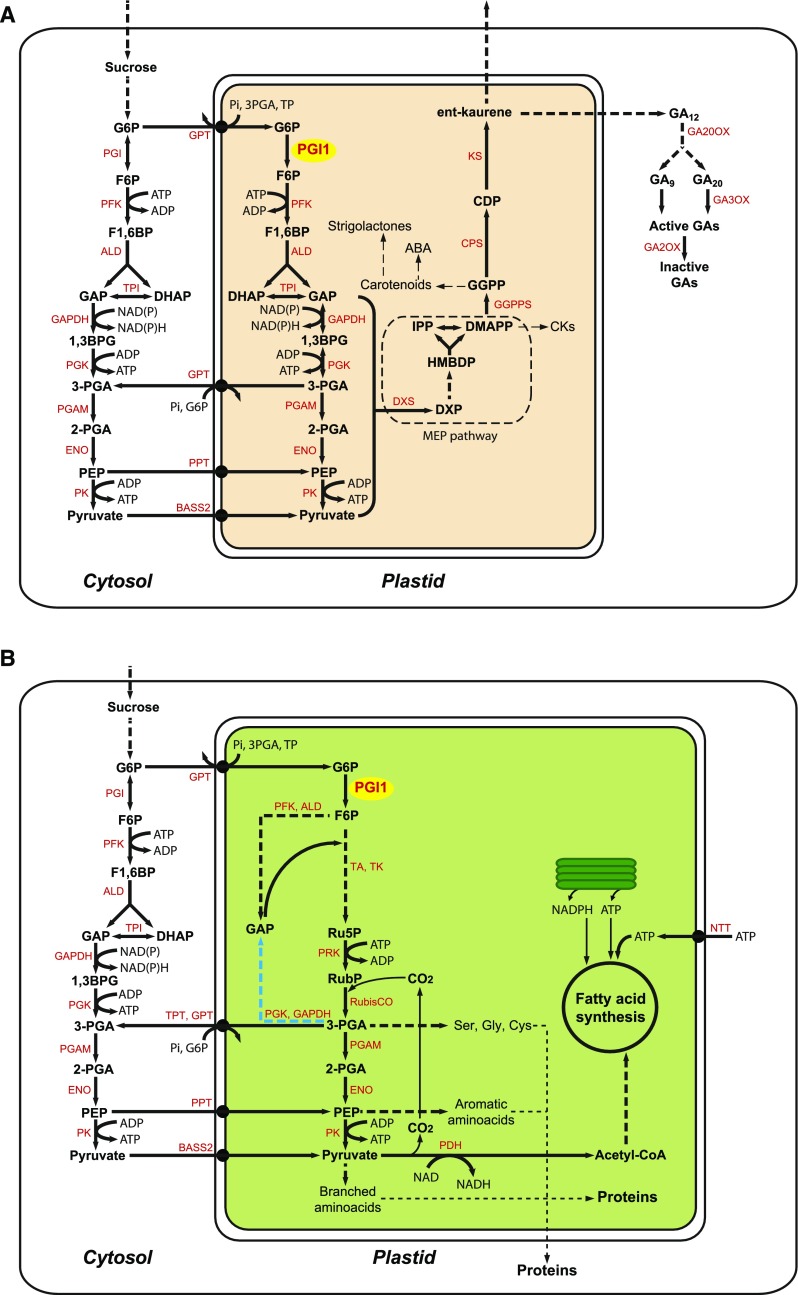 Figure 9.