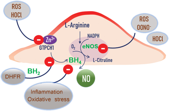 FIG. 2.