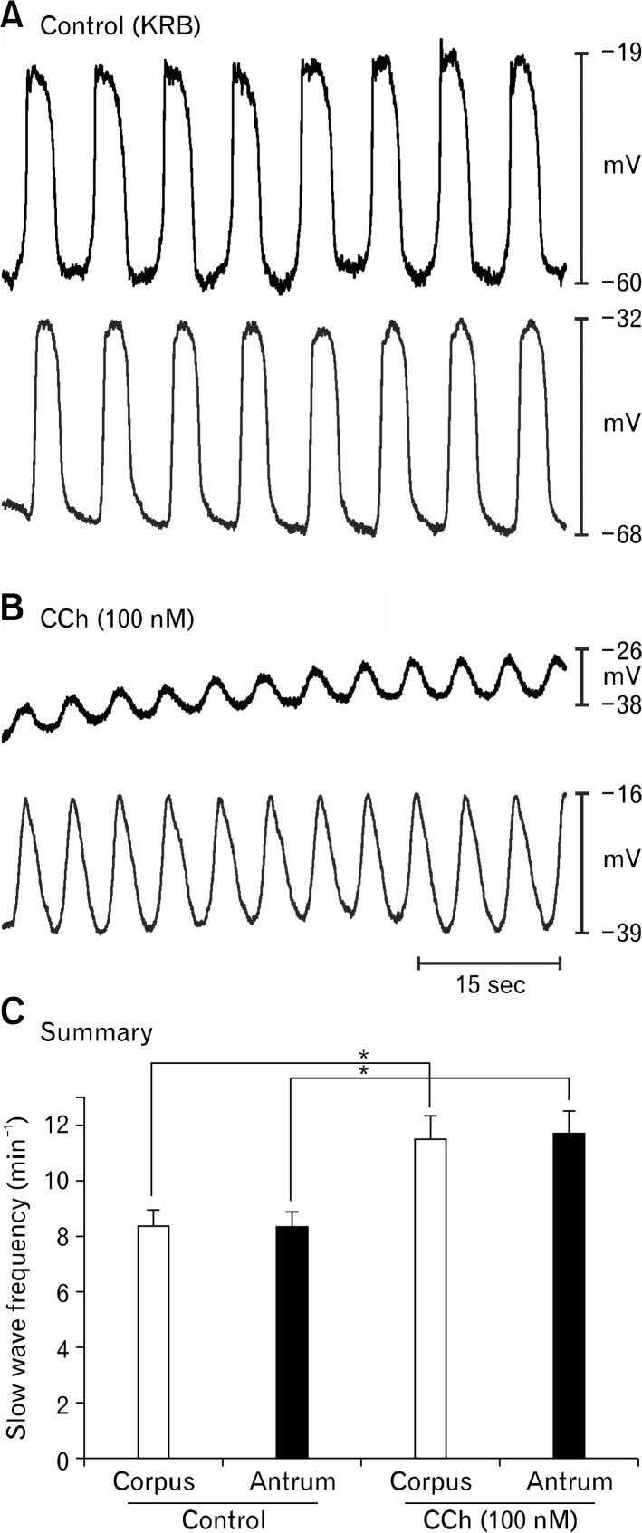 Figure 6.