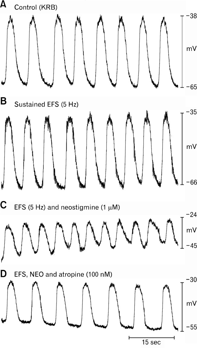 Figure 5.