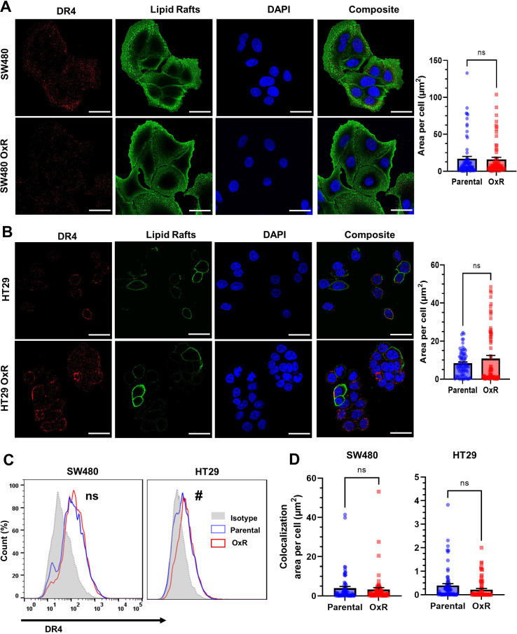 Figure 3—figure supplement 2.