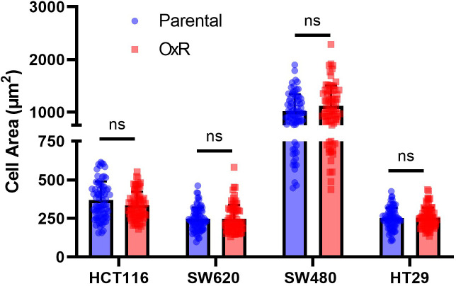 Figure 3—figure supplement 1.