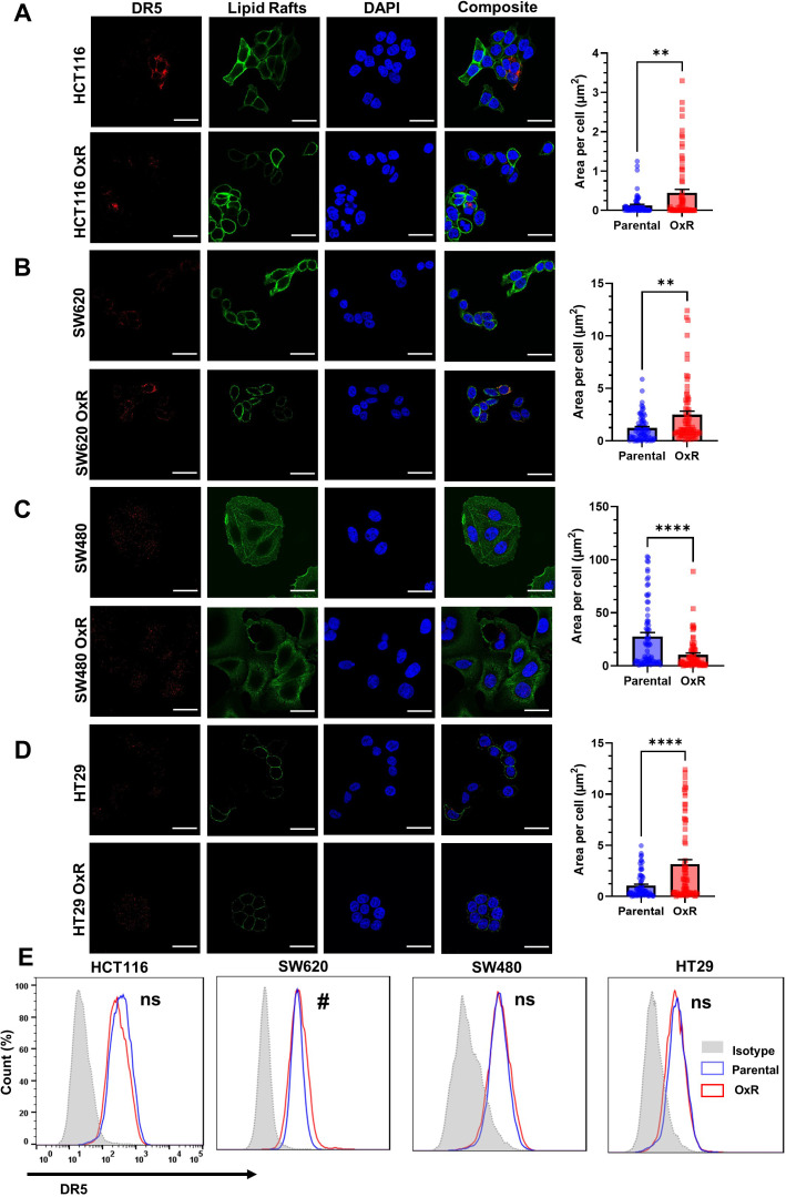 Figure 3—figure supplement 4.