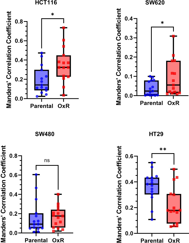 Figure 4—figure supplement 1.