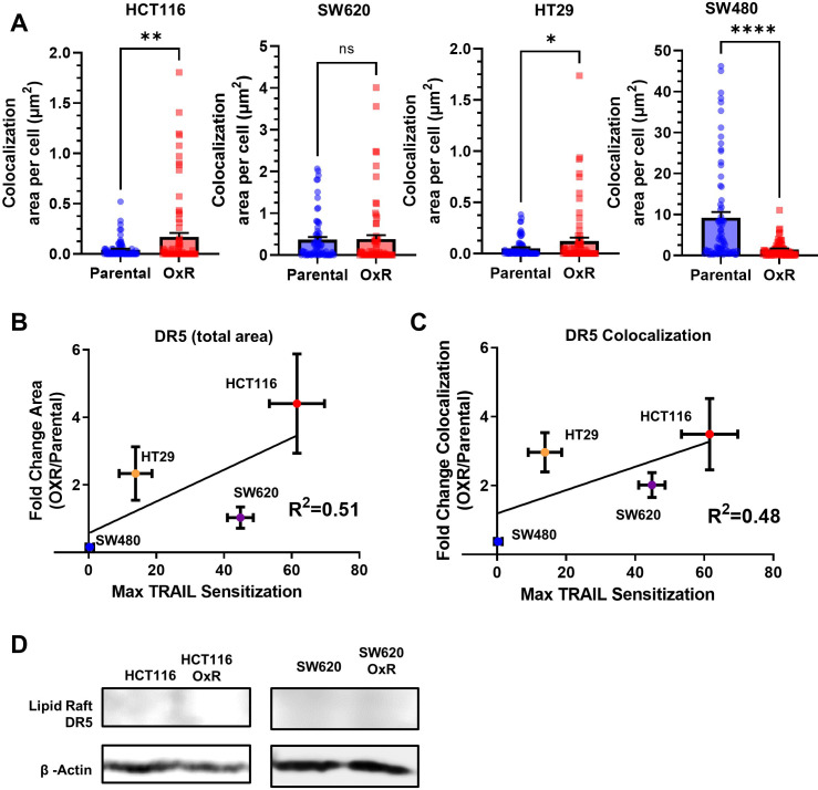 Figure 4—figure supplement 2.