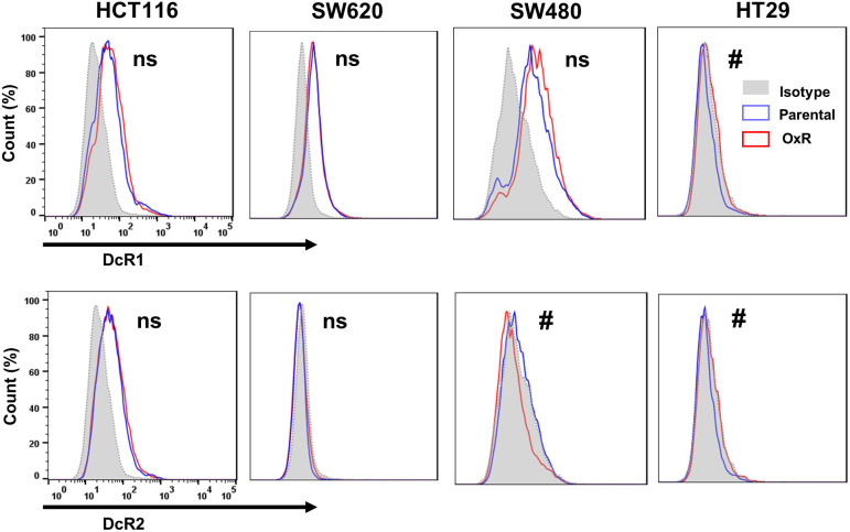 Figure 3—figure supplement 6.