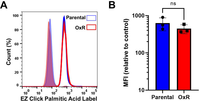 Figure 6—figure supplement 1.