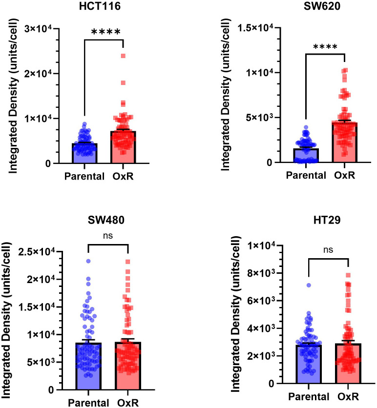 Figure 3—figure supplement 3.