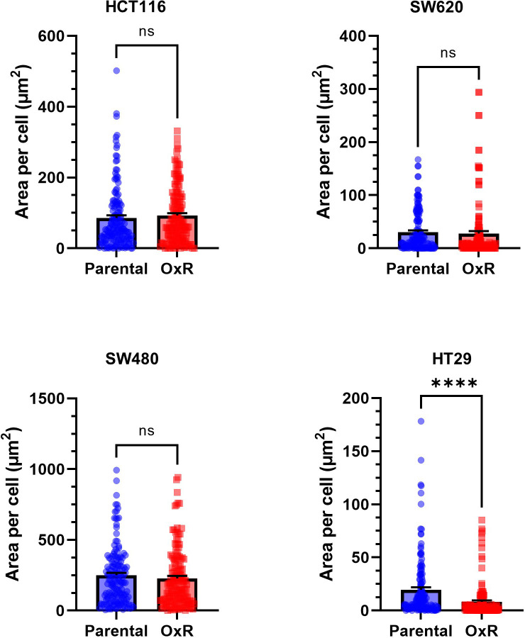 Figure 4—figure supplement 3.