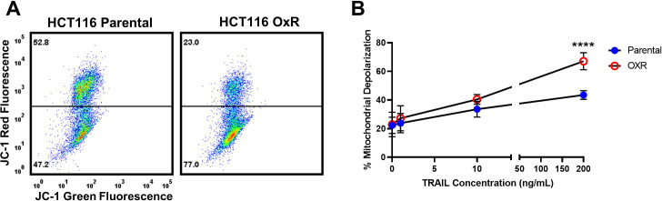 Figure 1—figure supplement 3.