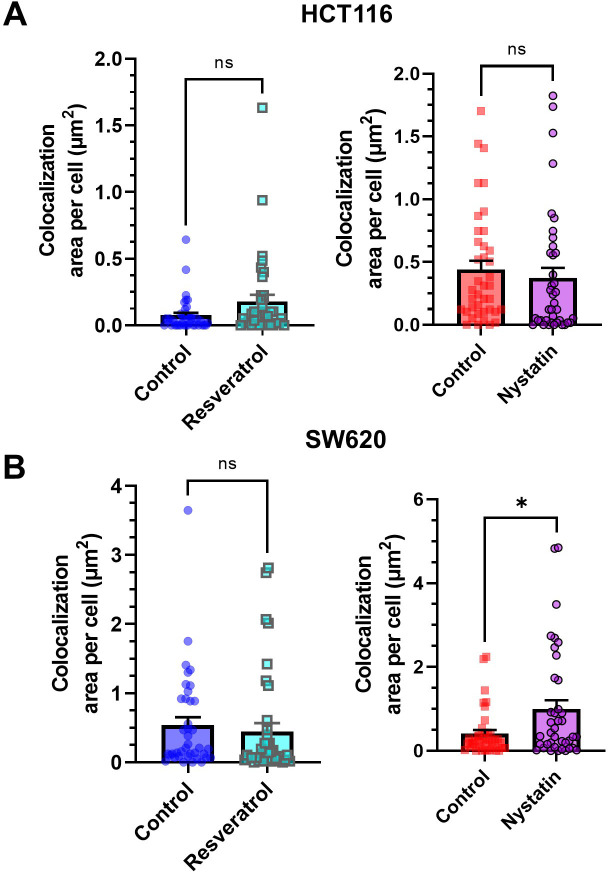 Figure 5—figure supplement 1.