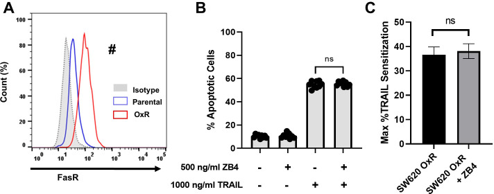 Figure 2—figure supplement 1.