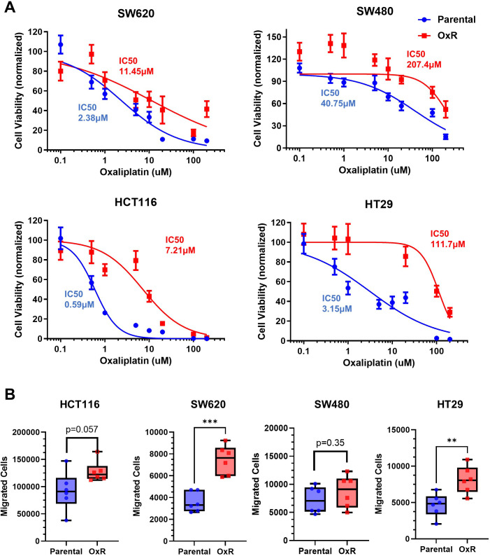 Figure 1—figure supplement 1.