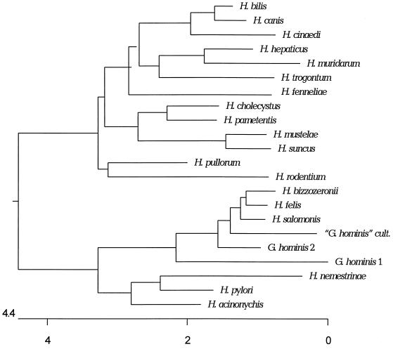 FIG. 3