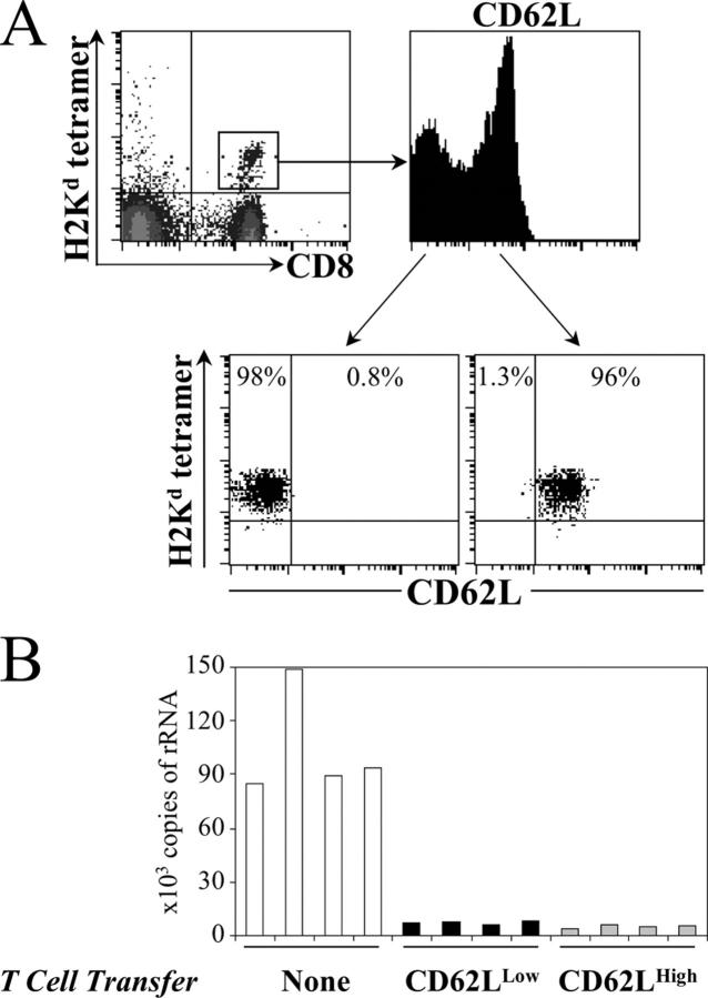 Figure 9.