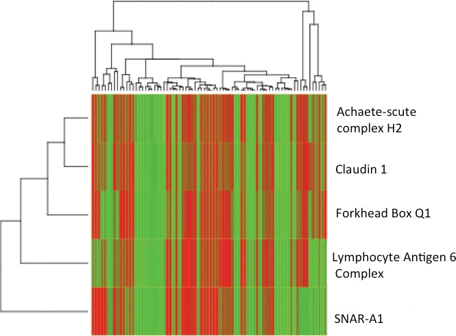 Fig. 7