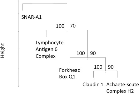 Fig. 8