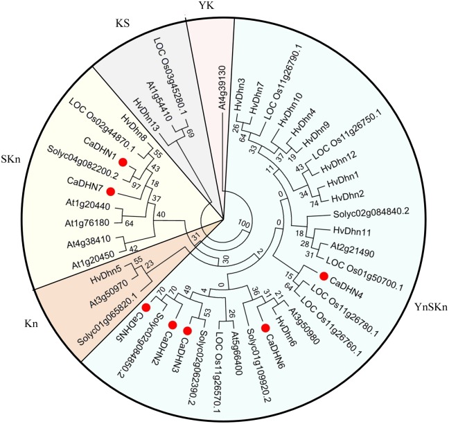 Fig 3