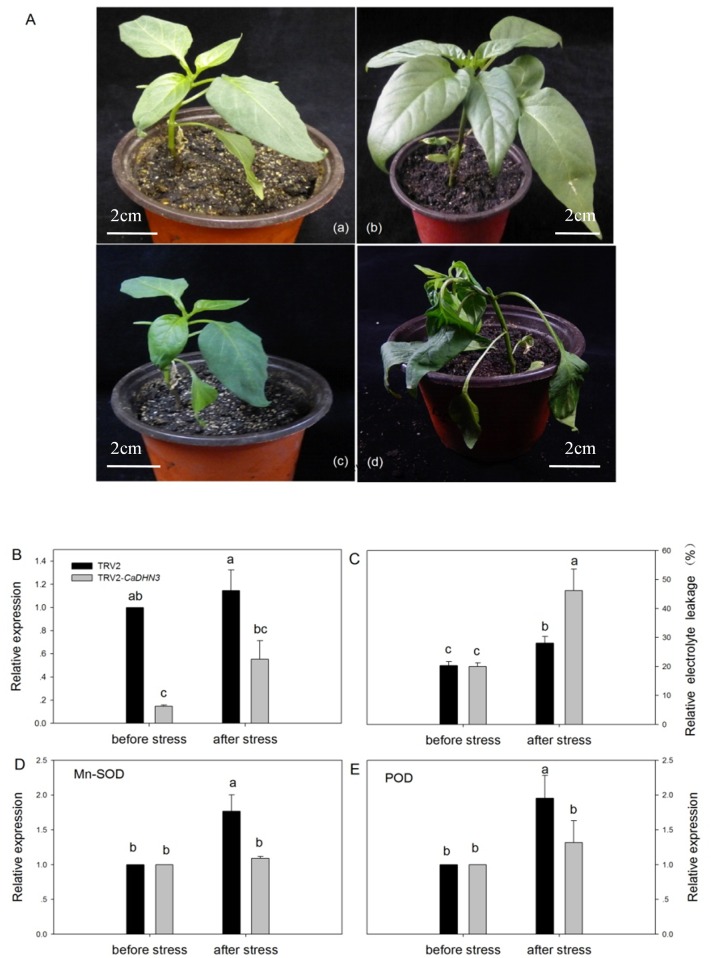 Fig 6