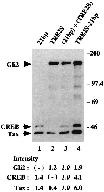 FIG. 5