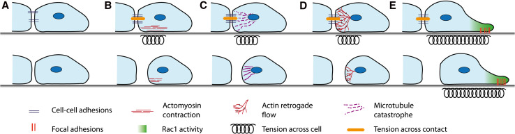 Fig. 3