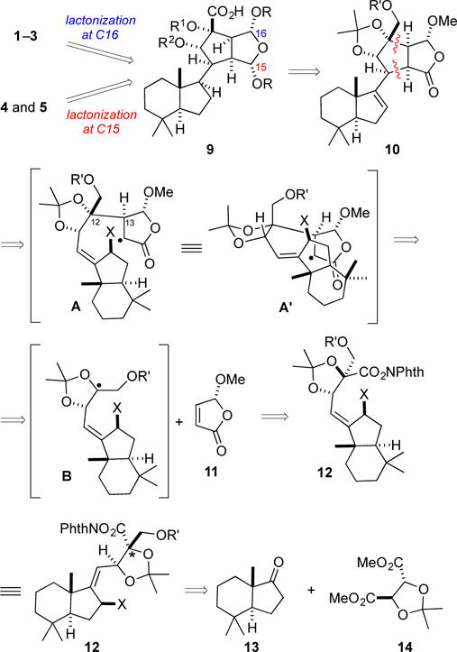 Scheme 1