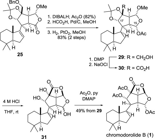 Scheme 4