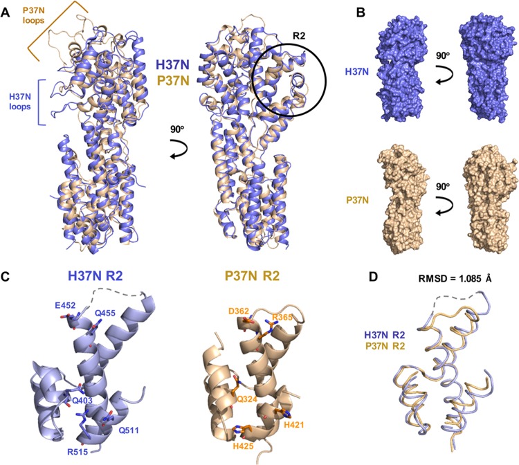 FIG 3