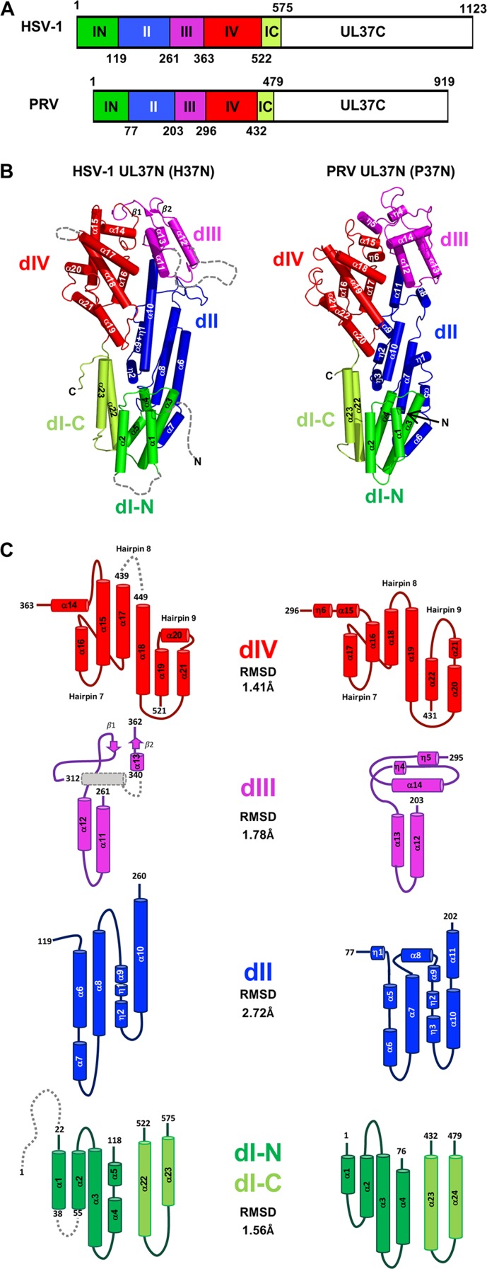 FIG 1