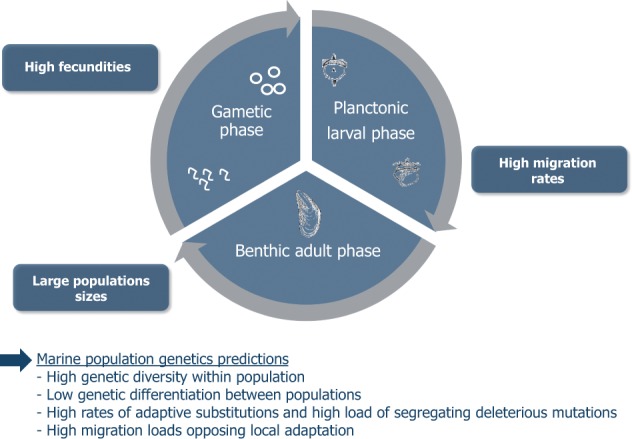 Figure
1.