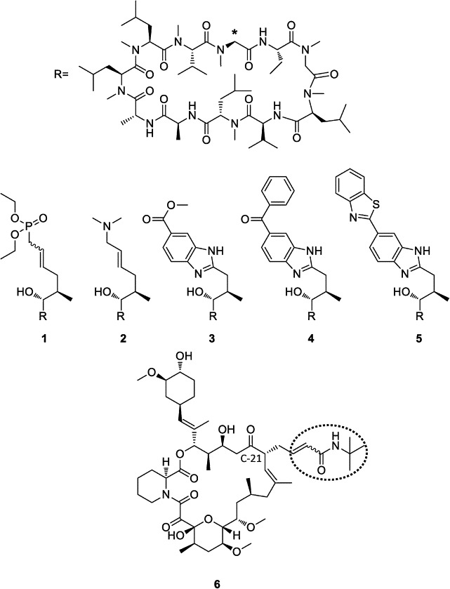 Fig. 1