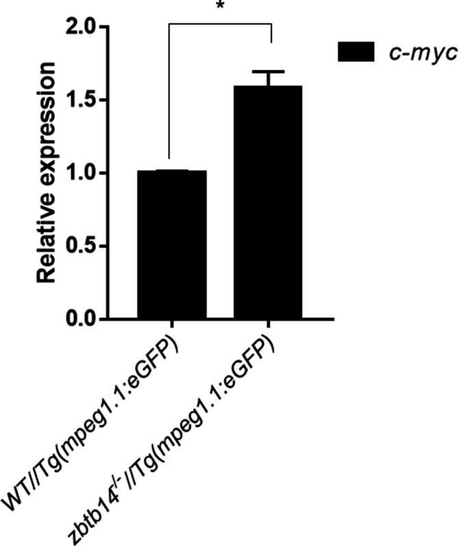 Figure 4—figure supplement 5.