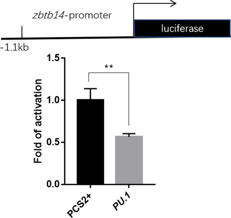 Figure 4—figure supplement 4.