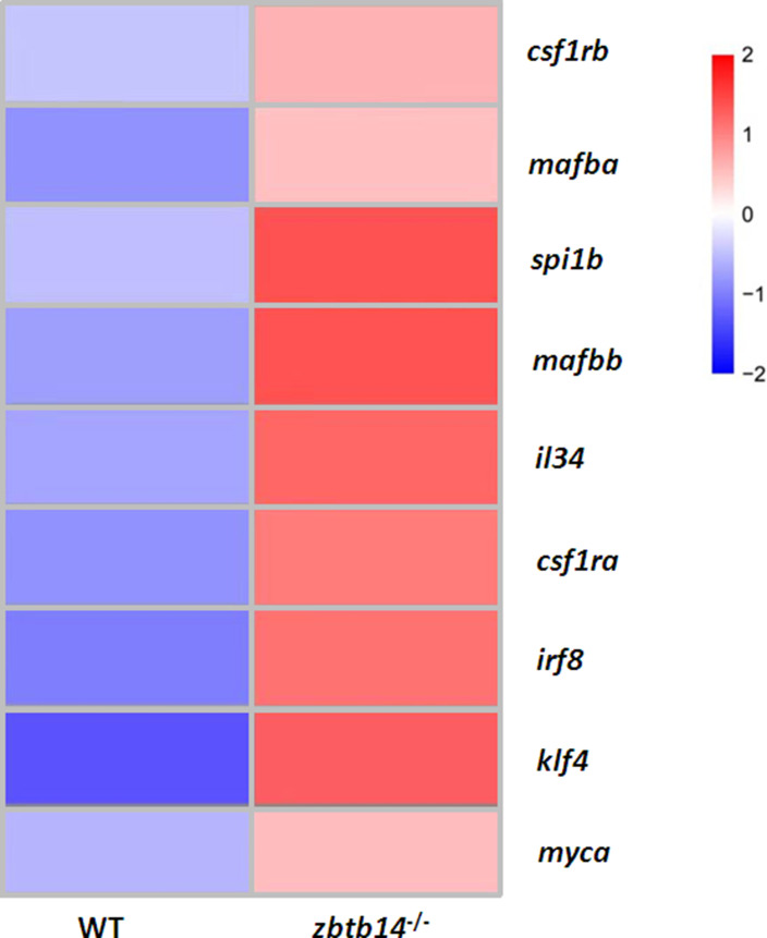 Figure 4—figure supplement 1.