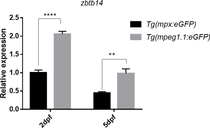 Figure 4—figure supplement 3.