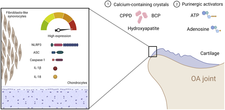 Figure 3