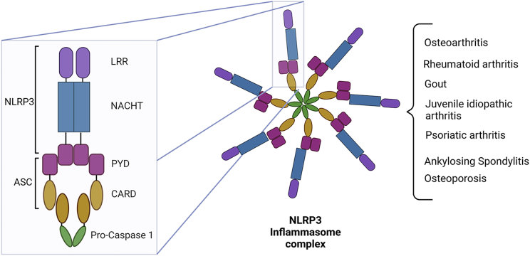 Figure 1