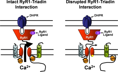 Figure 9.