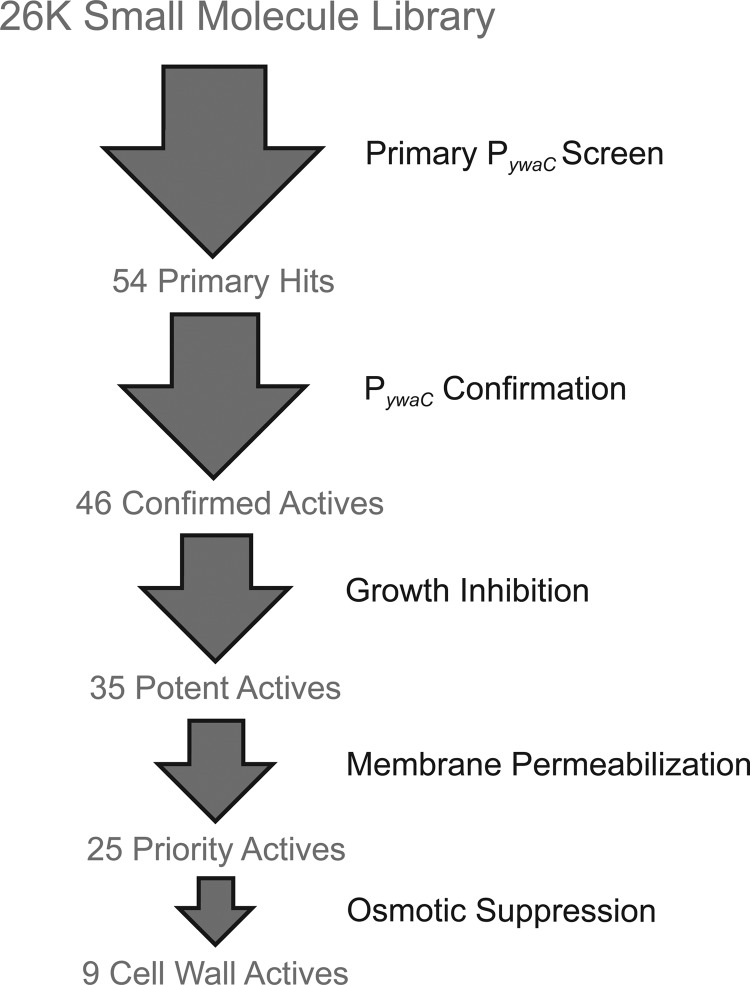 FIG 1