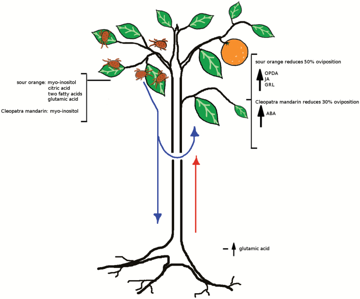 Fig. 10.