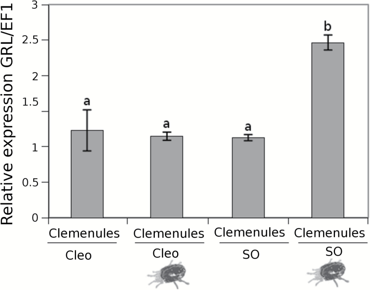 Fig. 8.